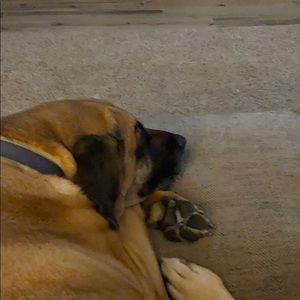 Meet your Posher, Neil